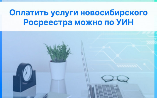 Оплатить услуги новосибирского Росреестра можно по УИН